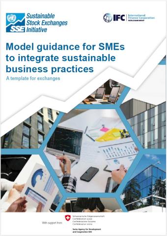 Model Guidance SMEs